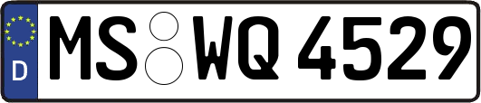 MS-WQ4529