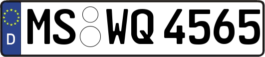 MS-WQ4565