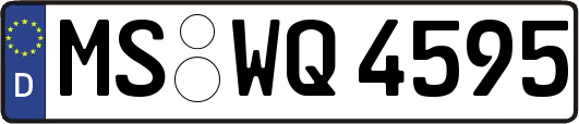 MS-WQ4595