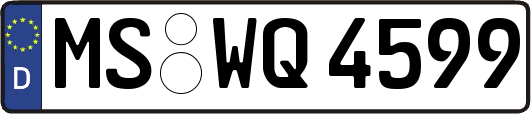 MS-WQ4599