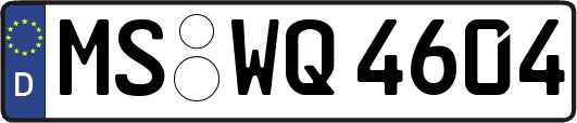 MS-WQ4604