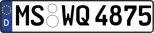 MS-WQ4875