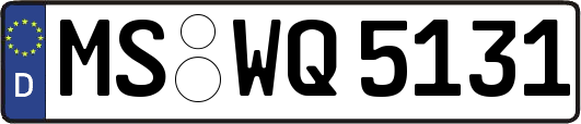 MS-WQ5131
