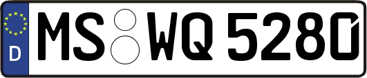 MS-WQ5280