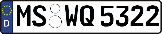 MS-WQ5322