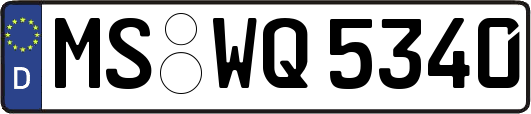 MS-WQ5340
