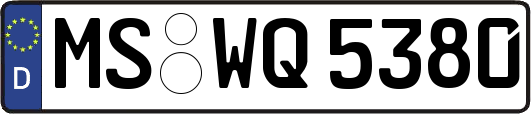 MS-WQ5380