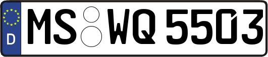 MS-WQ5503