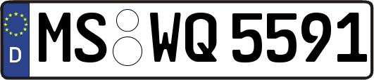 MS-WQ5591