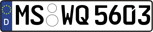 MS-WQ5603