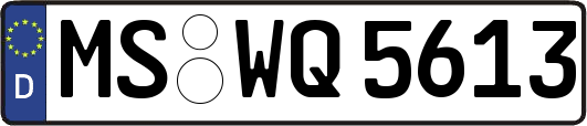 MS-WQ5613