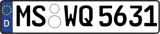 MS-WQ5631