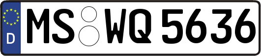 MS-WQ5636