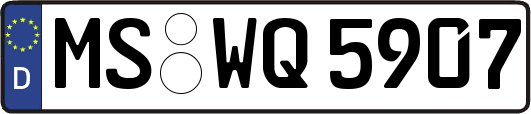 MS-WQ5907
