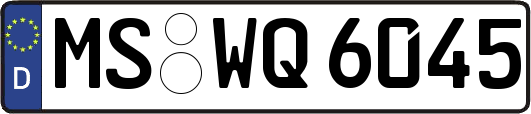 MS-WQ6045