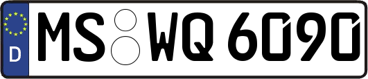 MS-WQ6090