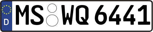 MS-WQ6441