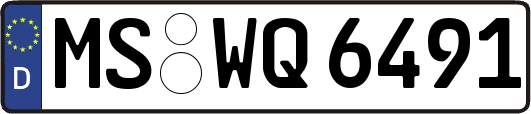 MS-WQ6491