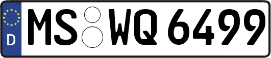 MS-WQ6499