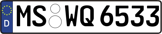 MS-WQ6533