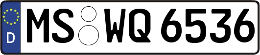 MS-WQ6536