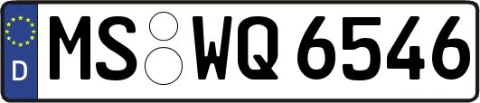 MS-WQ6546