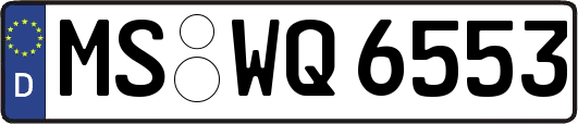 MS-WQ6553
