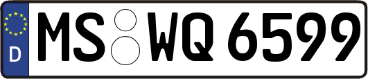 MS-WQ6599
