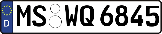 MS-WQ6845