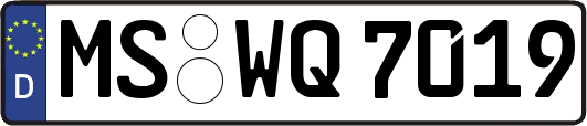 MS-WQ7019