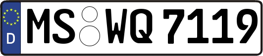 MS-WQ7119