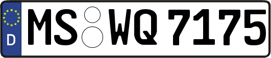 MS-WQ7175
