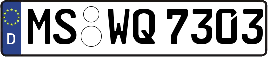 MS-WQ7303