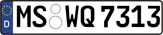 MS-WQ7313
