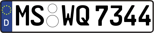 MS-WQ7344
