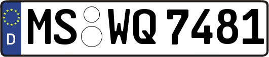 MS-WQ7481
