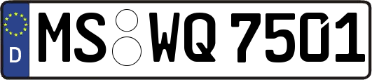 MS-WQ7501