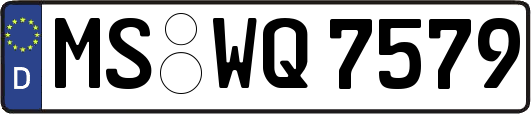 MS-WQ7579