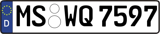 MS-WQ7597