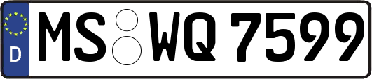 MS-WQ7599