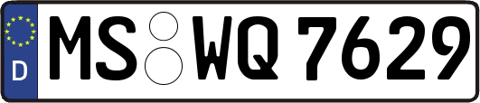 MS-WQ7629
