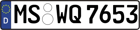 MS-WQ7653