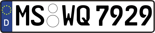MS-WQ7929
