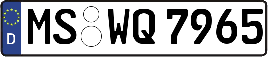 MS-WQ7965