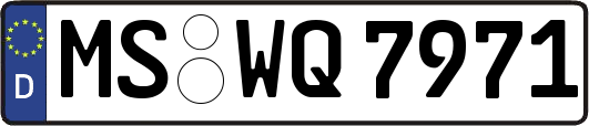 MS-WQ7971