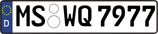 MS-WQ7977