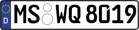 MS-WQ8019