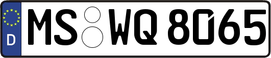 MS-WQ8065