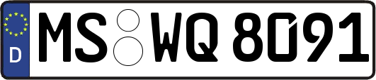 MS-WQ8091