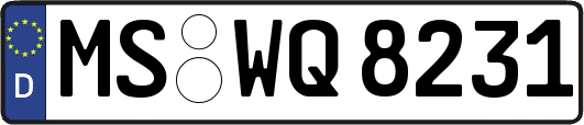 MS-WQ8231